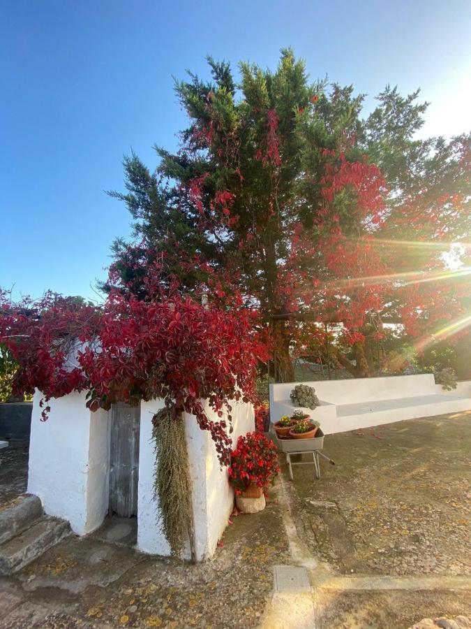 Trulli Demetra Vila Martina Franca Exterior foto